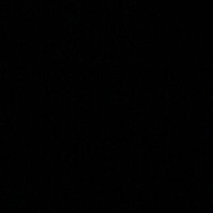 Meet your Posher, Lacey